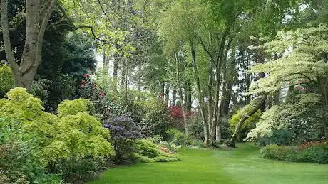 Photo de les Jardins de Ker louis