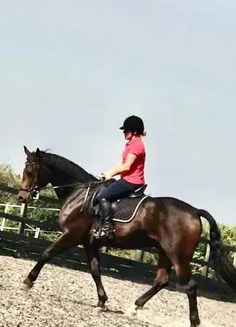 Photo de Riding School with Sarah Williams