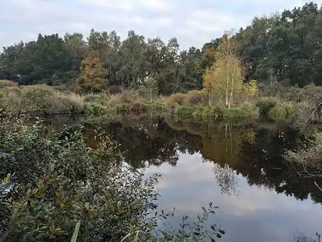 La Mare aux Sangliers