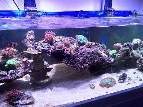 Just a little fishy