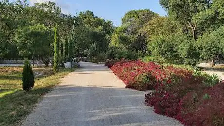 Photo de Parc Elluin
