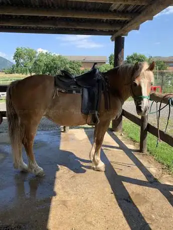 Old River Ranch