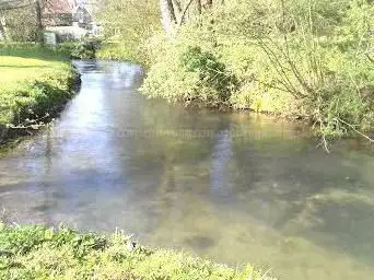 Etang de Waligny