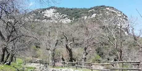 Photo de Terra Promessa
