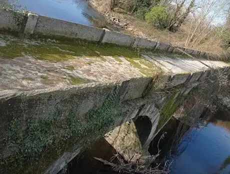 Photo de Ponte
