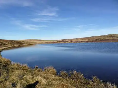 Glaslyn Nature Reserve