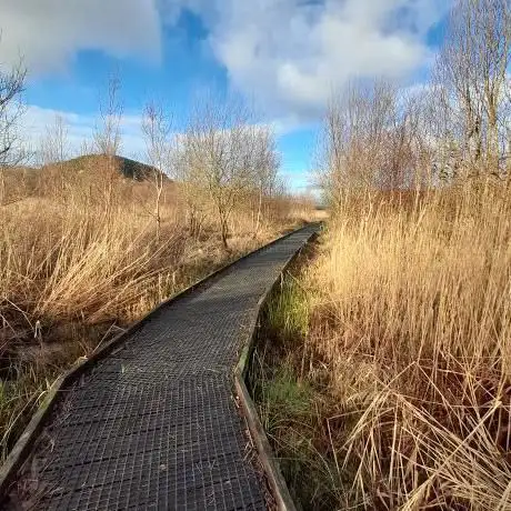 Pant y Sais National Nature Reserve