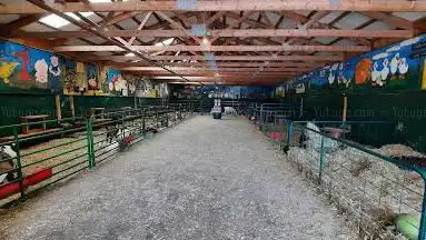 Valleyview Little Animal Farm