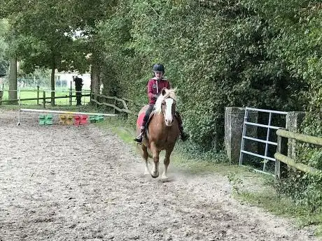 Centre Equestre du Vimeu