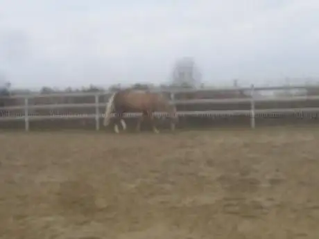 Photo de CA9 Riding Stable