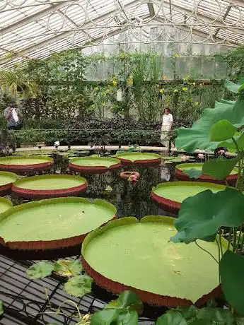 Photo de Bonsai House