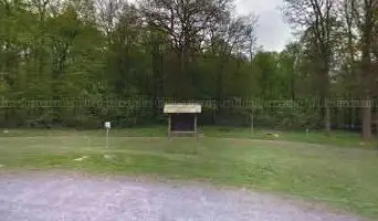 Saint Michel Forest