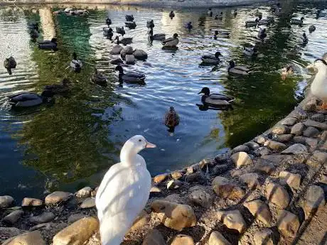 Photo de Patos Park