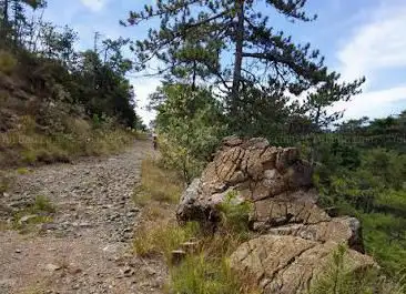 Photo de Foresta della Deiva