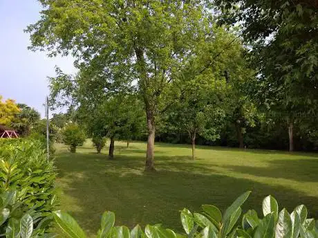 Photo de Parco pubblico comunale