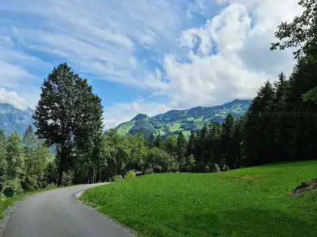 Photo de Berschnerfall
