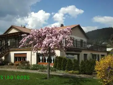 la moselotte
