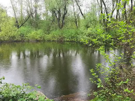 De grote plas