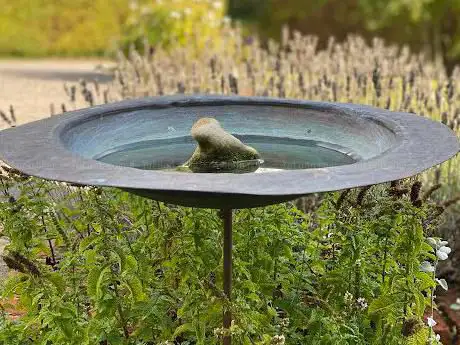 Photo de Verdigris - Artisan Bird Baths