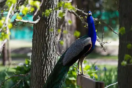 Photo de Le Jardin des plantes des Capellans