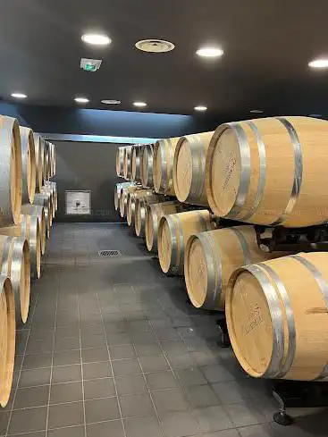 Photo de La Route des Vins Casher - Wine Tour Kosher