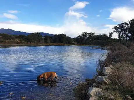 Photo de Estany de la Gutina