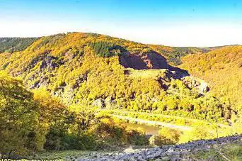 Photo de Tabener Urwald (Naturwaldreserverat)