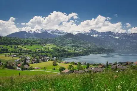 Bürgwald
