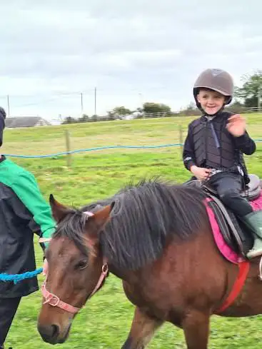 Brynteg Farm and Wellbeing Sanctuary