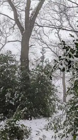 Panorama Woods