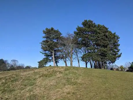 Bachelor Hill