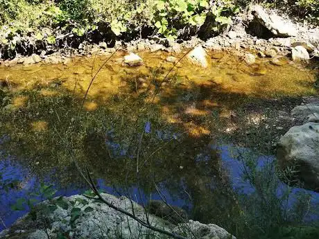 Photo de Oasi di Caselli Monterufoli