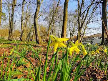 Photo de Parc Ludovic Halévy