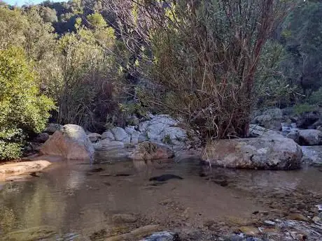 Photo de Parco Naturale Regionale di Gutturu Mannu