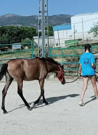 Photo de Centro Ecuestre Alcosser