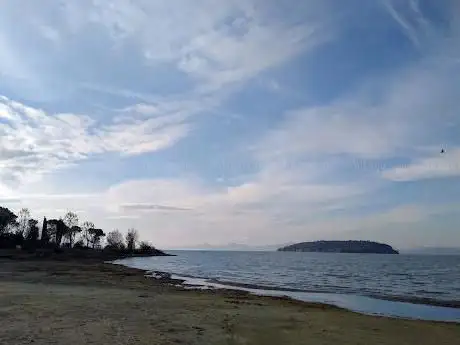 Photo de Lido di Tuoro