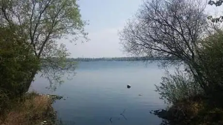 Photo de Millennium Country Park