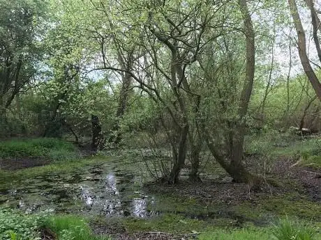 Photo de Lousey Bush Nature Reserve