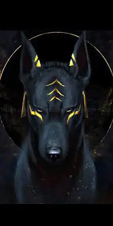 Photo de ANUBIS DISCO PUB