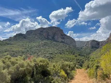 Photo de Aguja Roja