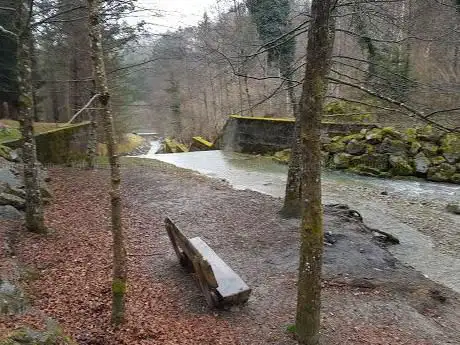 Photo de Bois de la Chenaulaz
