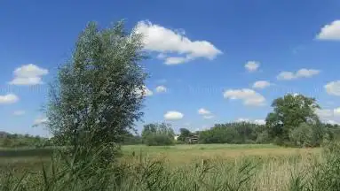 Malemmeersen