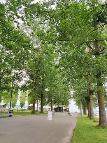 Photo de Lakeshore Park