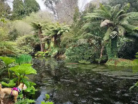 Penjerrick Garden