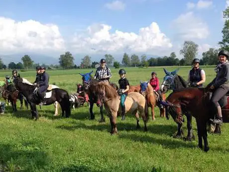 Reitstall Tratthof - Reitstunden und Ponyreiten im Rheintal