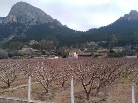 Photo de Olivera De El Argás