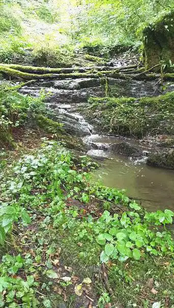 Cascade de waulsort