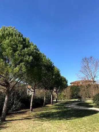 Parco Paul Harris