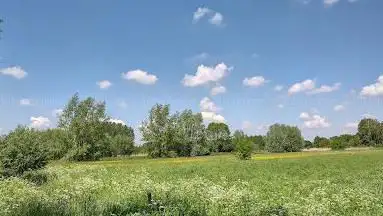 Kalkense meersen