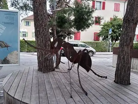 Musée de la nature des Grisons